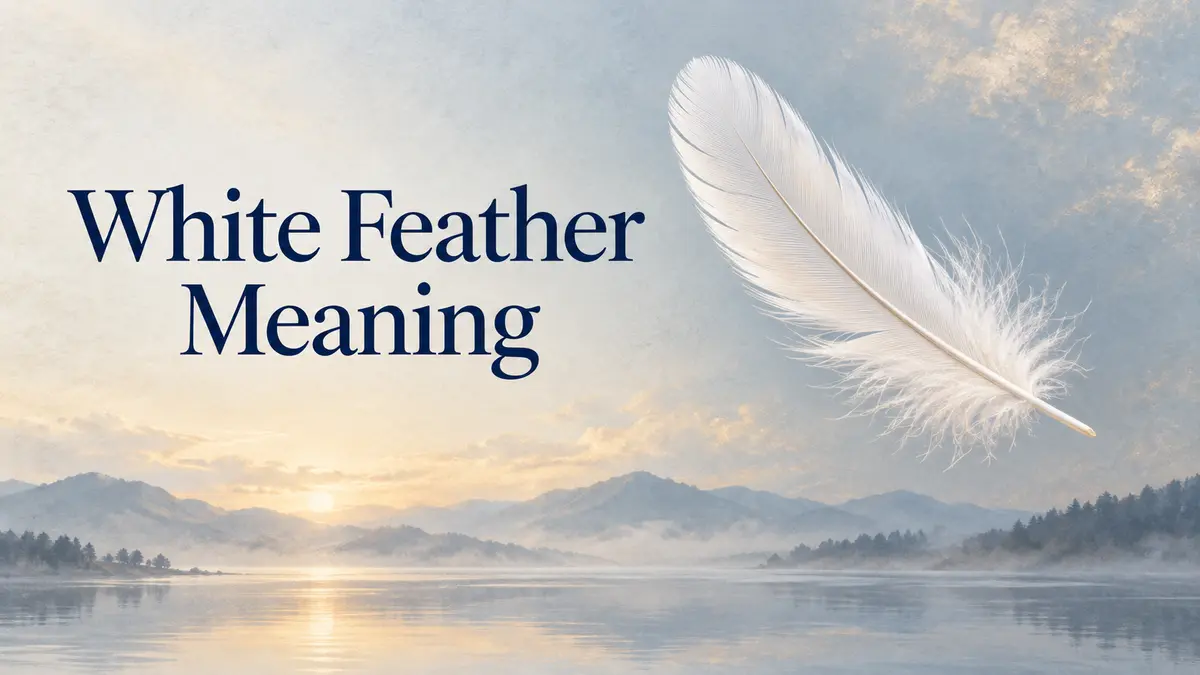 White feather floating above a quiet landscape beside the title White Feather Meaning