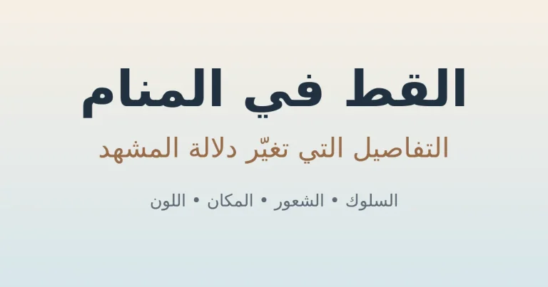 صورة مميزة لمقال القط في المنام والتفاصيل التي تغيّر دلالة الحلم