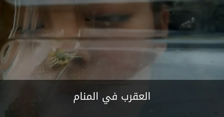 العقرب في المنام: التفاصيل التي تغيّر رمزية الحلم