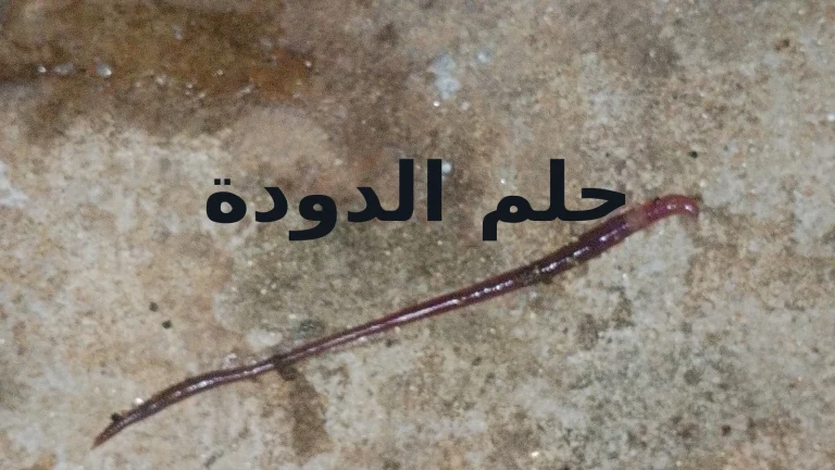 تفسير حلم الدودة: اللون والمكان والعدد تغيّر رمزية الحلم